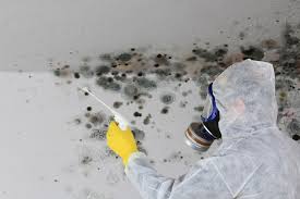 Best Mold Remediation for Rental Properties  in Keokea, HI